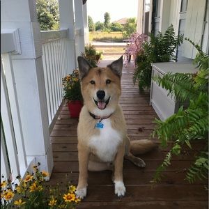 Meet your Posher, Erin